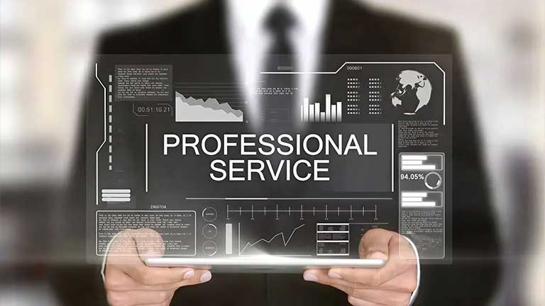 Professional Services
